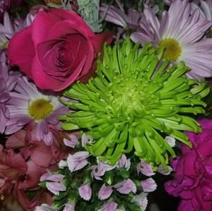 Meet your Posher, Yvonne m